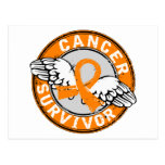Survivor 14 Leukemia Post Card