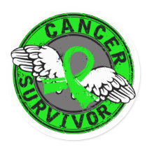 Survivor 14 Lymphoma Stickers