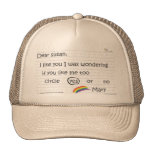 Susan Trucker Trucker Hat