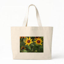 Susans with Black eyes bags