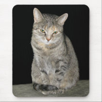 Susi mousepads