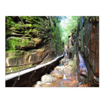 Suspended Path Stream Franconia Notch NH Postcard