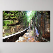 Suspended Path Stream Franconia Notch NH Poster
