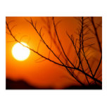 Suspended sunset postcards
