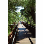 Suspended Walkway At Kings Park In Western Austral Photo Cutout