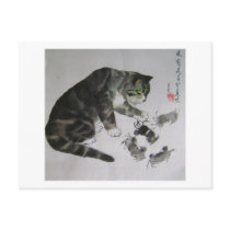suspicions postcards