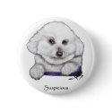 Suspicious Bichon Frise buttons