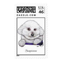 Suspicious Bichon Frise Postage