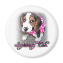 "Suspiciously Cute" beagle magnet