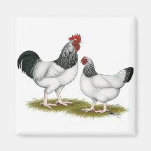 Sussex:  Light Pair Magnet
