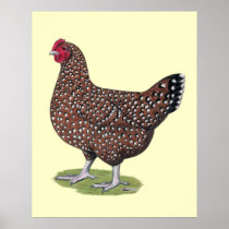 Sussex:  Speckled Hen Posters