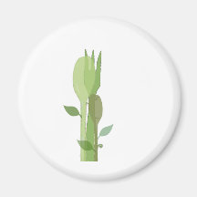 Sustainability Magnet