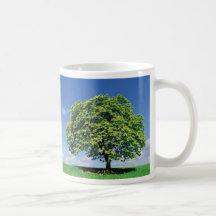 Sustainability Picture Mug