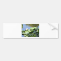 Sustainable Designs bumper stickers