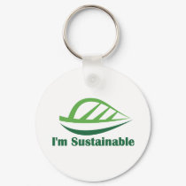 Sustainable keychains