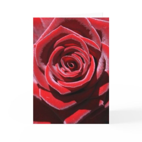 Sustainable Love card