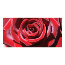 Sustainable Love Photo Card Template