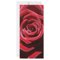 Sustainable Love Rack Card Design