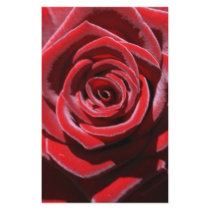 Sustainable Love Stationery Paper