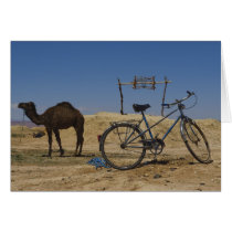 Sustainable transportation cards by pshaw_photo Sustainable transportation cards