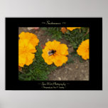 Sustenance Print