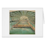Sutro Baths (1210) cards