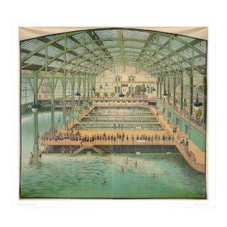 Sutro Baths (1210) Posters