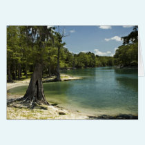 Suwannee River Beach Blank Card cards