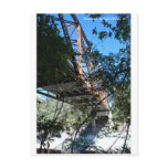 Suwannee Springs Bridge Abandoned Postcard
