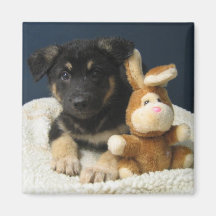 Suzy Q Refrigerator Magnets