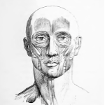 Vintage Anatomy: Designs & Collections on Zazzle