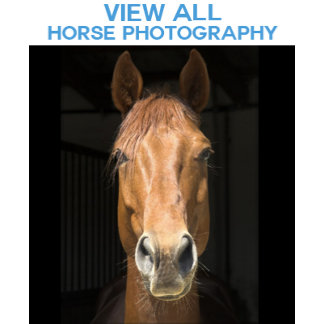 Horses Photo Images Gift Products