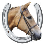 Riding club