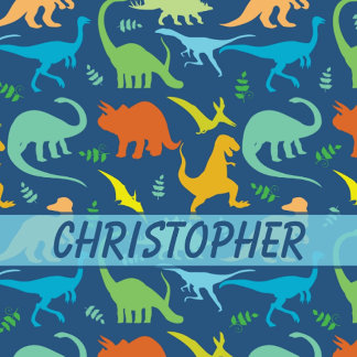 Dinosaur Pattern to Personalize Product Gifts