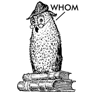 Pink and blue illustration of an educated owl standing on some books, wearing glasses and a hat, is correcting grammar. Sometimes it's 