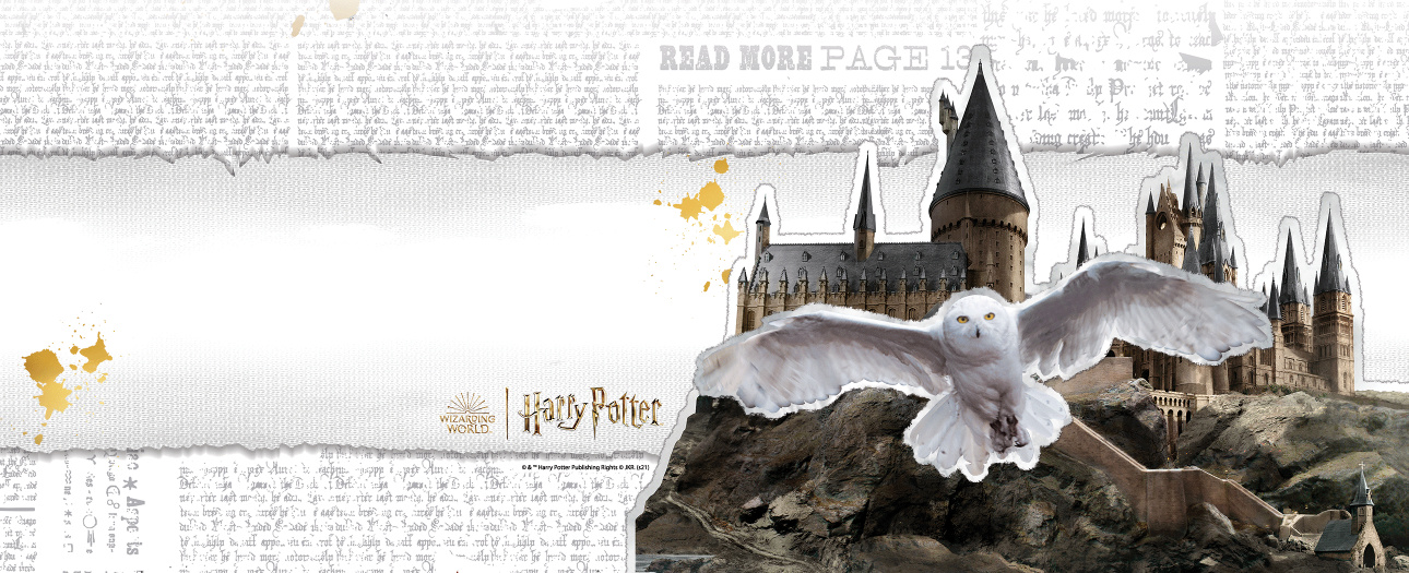 Shop our officially licensed Harry Potter™ store!