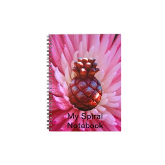 All Templates All Spiral jGibney Notebook The MUSE