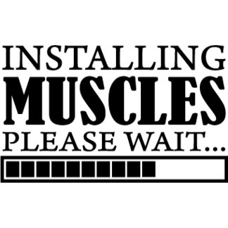 installing muscle