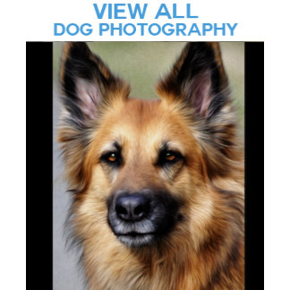 Dog Photo Image Merchandise