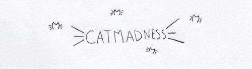 catmadness