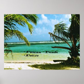 Pelican Beach Belize Poster