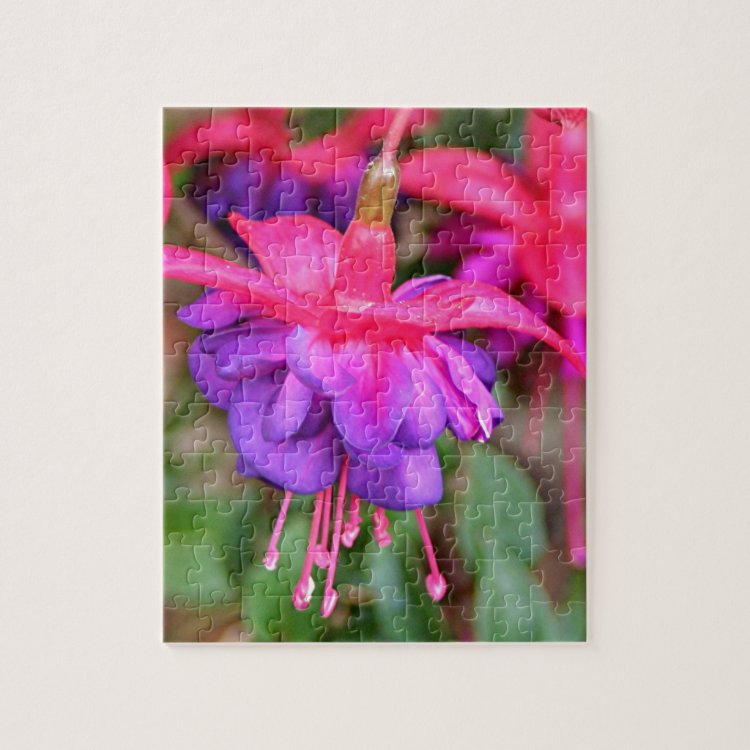 Rosa u. purpurrote fuchsia Blumen im blühenden Puzzle