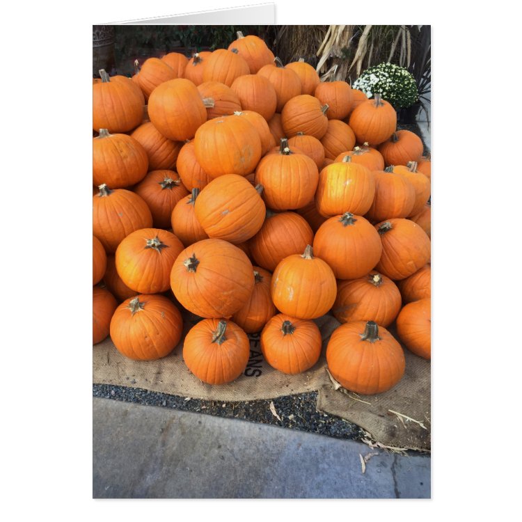 Orange Pumpkins Card