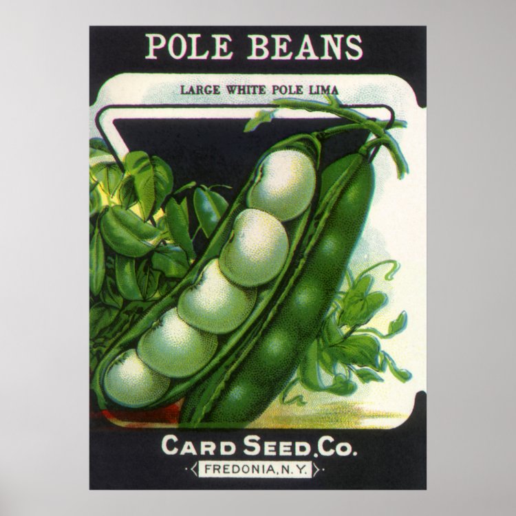 Art d'étiquette de paquet de graines vintage, haricots de Lima Pole Poster