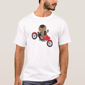 Motorcycle Biker Cat T-Shirt