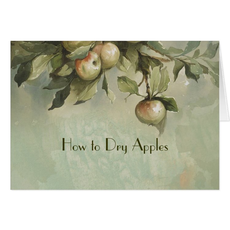 Apple Tree  Thank You Cards