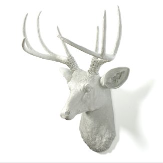 White Antlers with White Stag Deer Head