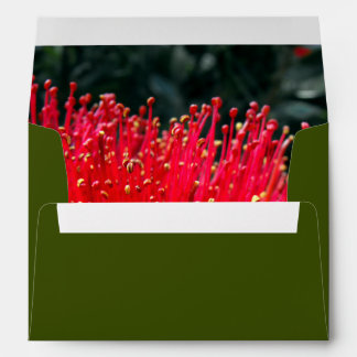 New Zealand Christmas Cards | Zazzle