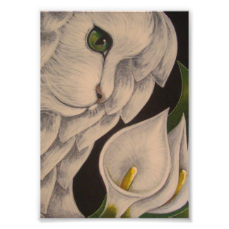cat angelus canvas