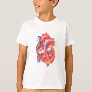 anatomy t shirts